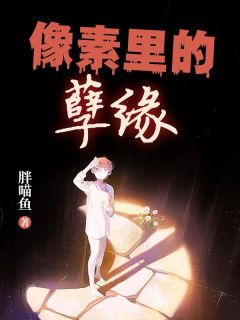 全网首发完整小说像素里的孽缘主角韩元元魏宁在线阅读